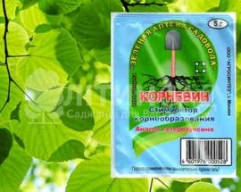 Корневин 5г.