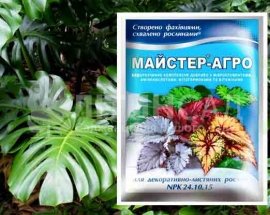 Мастер для декоративно-лиственных растений, 25г.