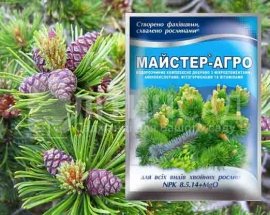 Майстер для хвойних рослин, 25г.