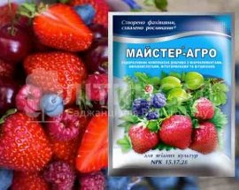 Майстер для ягідних, 100г.