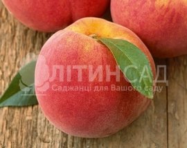 Персик Алиросада