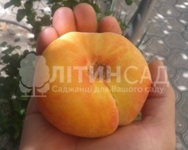 Персик Бельмондо
