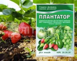Плантафол (Плантатор) Ріст плодів (NPK20.20.20), 25г.