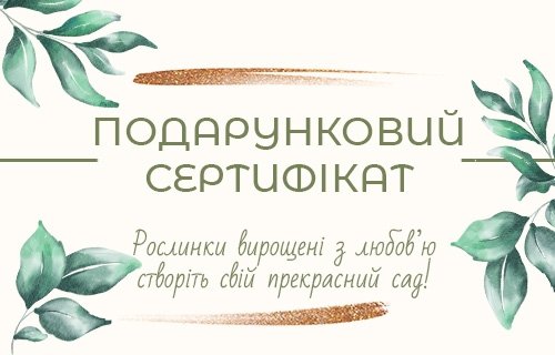 Подарунковий сертифікат Сертифікат на купівлю рослин
