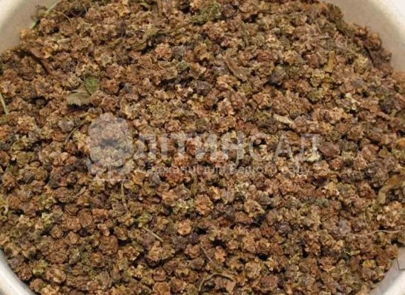 Кормовий буряк Центаур Полі 500г