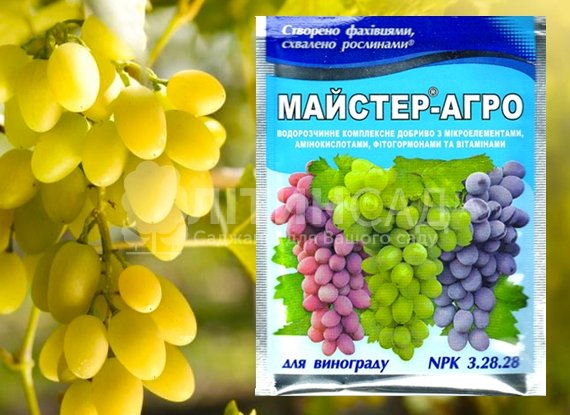 Майстер для винограда, 25г.