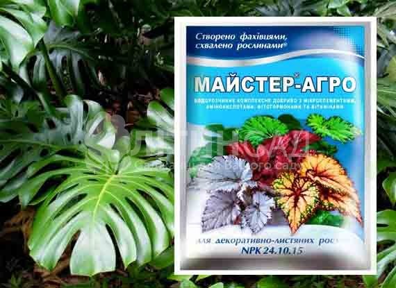 Мастер для декоративно-лиственных растений, 25г.