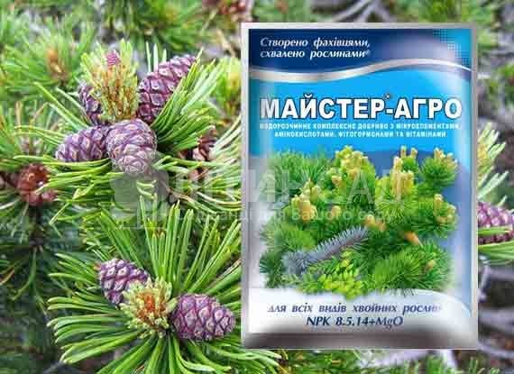 Майстер для хвойних рослин, 25г.