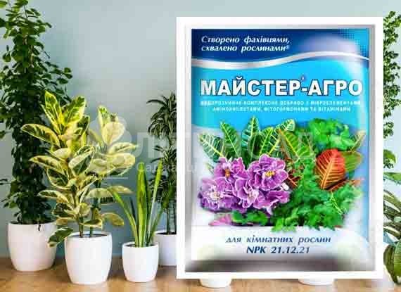 Майстер для кімнатних рослин, 25г.