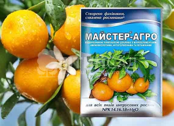Майстер для цитрусів, 25г.