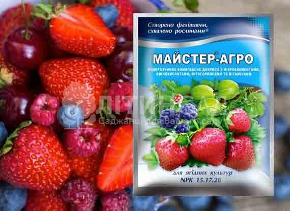 Майстер для ягідних, 100г.
