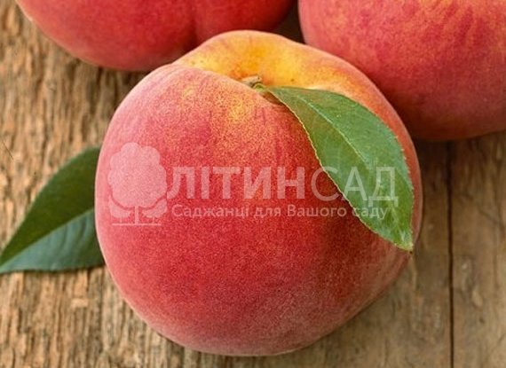 Персик Алиросада
