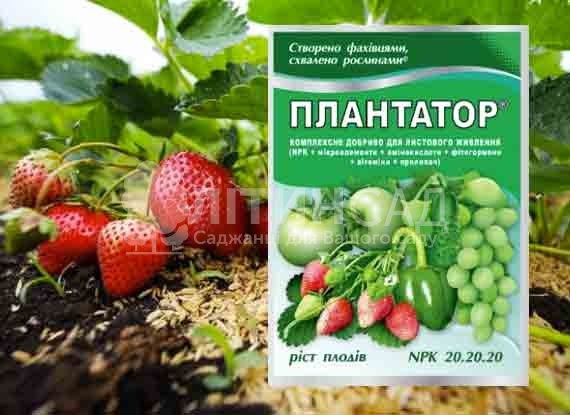 Плантафол (Плантатор) Ріст плодів (NPK20.20.20), 25г.