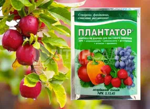 Плантафол (Плантатор) дозрівання плодів (NPK 5.15.45), 25г.