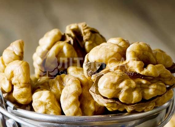 Волоський горіх "Чернівецький-1" *Сіянець* (Трьохрічний)