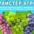 Майстер для винограда, 25г.
