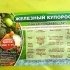 Фунгіцид Залізний купорос 300г.